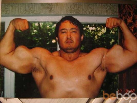  ,   Askar, 45 ,   , 