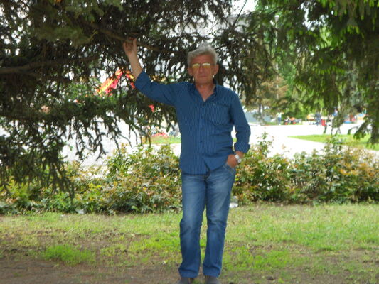  -,   , 66 ,   ,   , c 