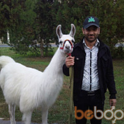  ,   Armen, 38 ,     , c 