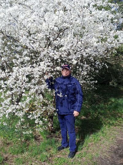  ,   , 62 ,  