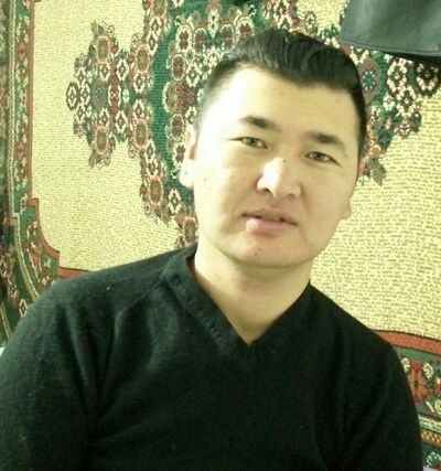  ,   TIMA STAR, 43 ,   ,   , c 