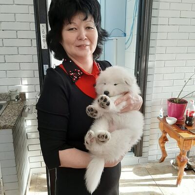  ,   , 55 ,   ,   