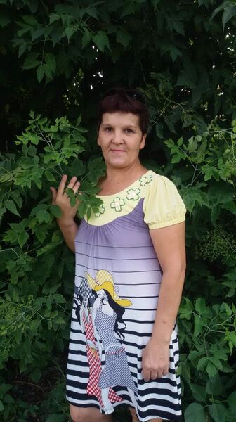  ,   , 51 ,     , c , 