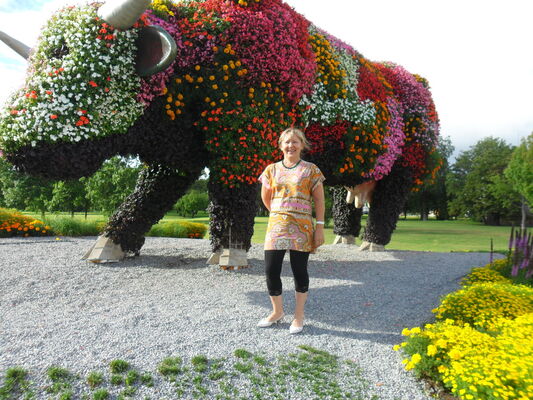  ,   LUDMILA, 70 ,     , c 