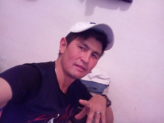  ,   Tiku, 40 ,   ,   , c , 