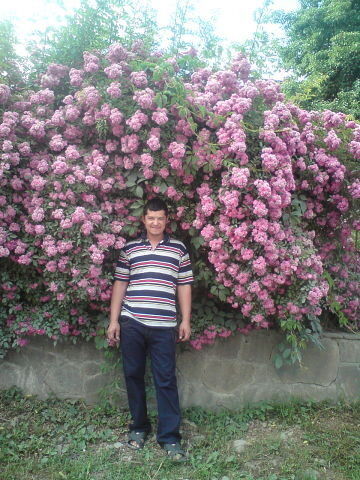  ,   Ikrom, 40 ,   ,   , c 