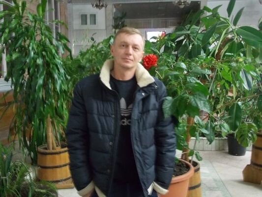   ,   , 49 ,   
