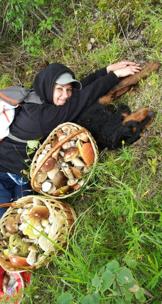   ,   , 45 ,  