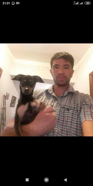  ,   Samat, 40 ,   ,   