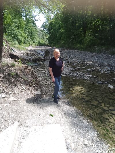  --,   , 53 ,   ,   , 