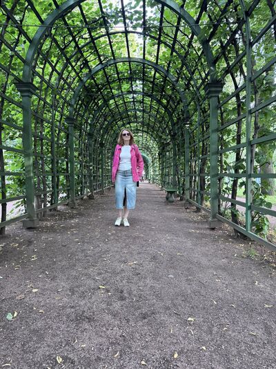  -,   , 51 ,   ,   , c 