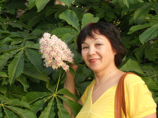  ,   , 65 ,   ,   , c 