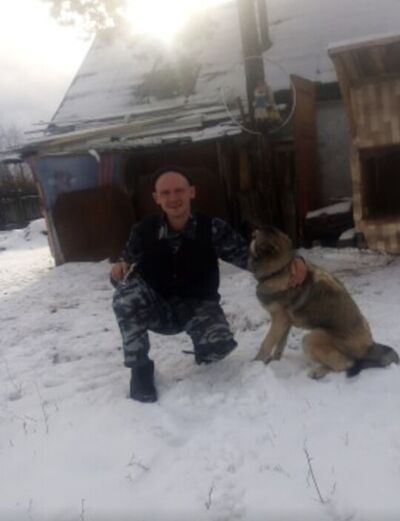  -,   Wolf, 41 ,   ,   , c 