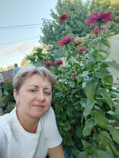  ,   , 52 ,   ,   