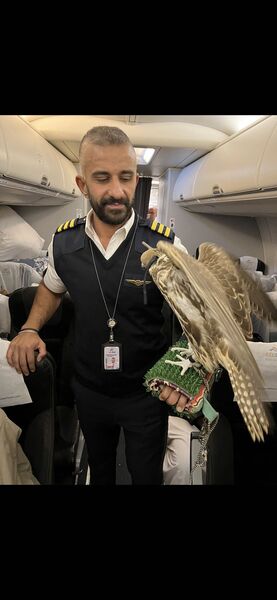  Al Ghardaqah,   Ahmed, 41 ,   ,   