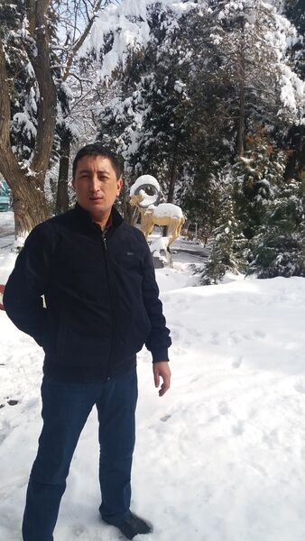  ,   Uzaq, 43 ,   