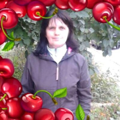  ,   , 61 ,   ,   , c 