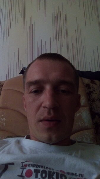  ,   Alega, 41 ,   c 