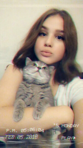  ,    , 26 ,   ,   , c 