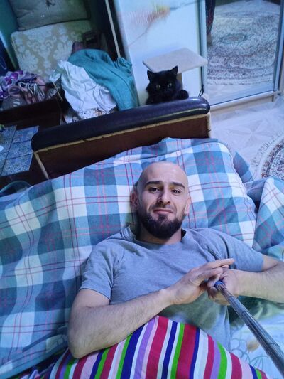  ,   Tayr, 29 ,   ,   , c , 