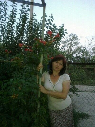  ,   , 54 ,     , c 