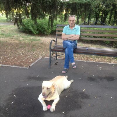   ,   , 62 ,   ,   , c 