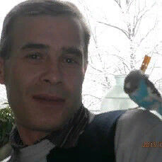  ,   , 53 ,  