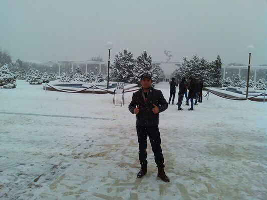  ,   Xurshid, 33 ,   ,   , c 