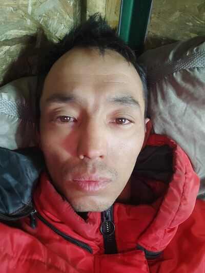  ,   , 37 ,   ,   