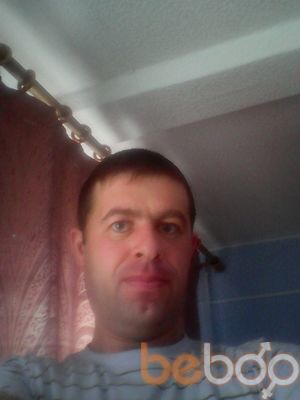  3987958  , 46 ,    