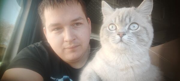  ,   , 29 ,     , c , 