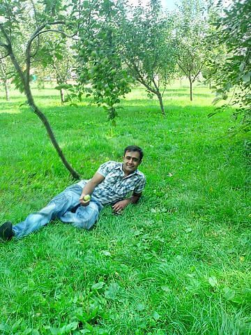  ,   , 43 ,   ,   