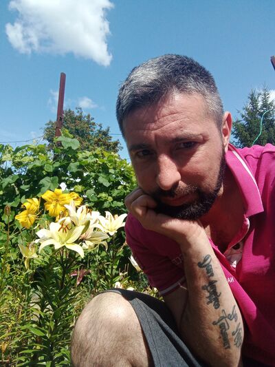   ,   , 41 ,  