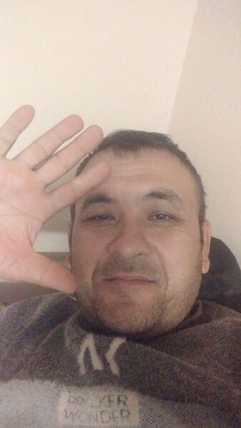  ,   Nematillo, 41 ,   , c 