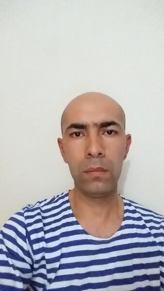  ,   Hoja, 45 ,   ,   , c 