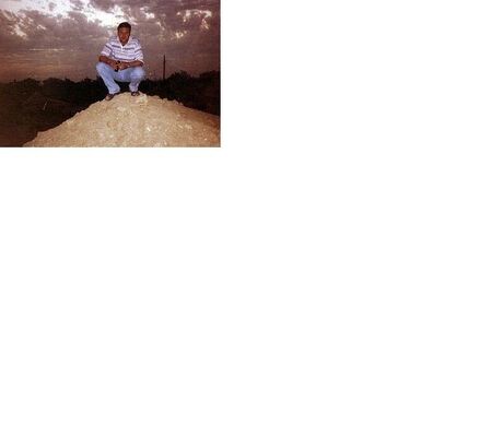   ,   , 53 ,     , c 