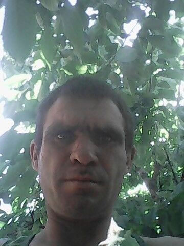 --,   , 40 ,   ,   , c 