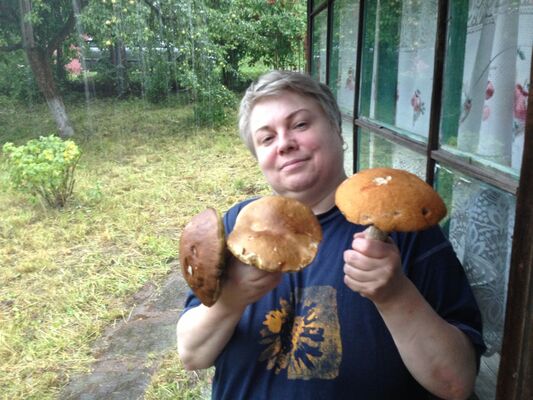  ,   , 65 ,   