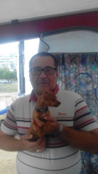 ,   , 53 ,  