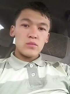  8501378  551998967, 33 ,    