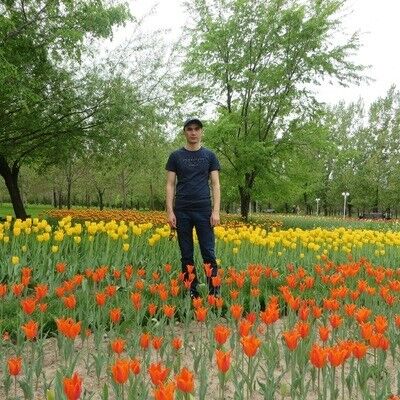  ,   Gholam, 33 ,   ,   , c 