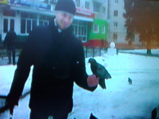  ,   Max, 38 ,   