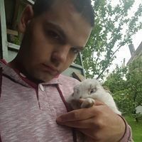  ,   Nemanja, 31 ,   ,   , c 