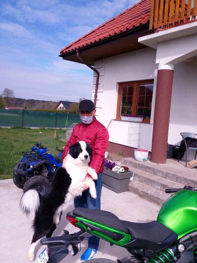  ,   Elshan, 42 ,     , c 