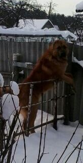 ,   Viktor, 61 ,   