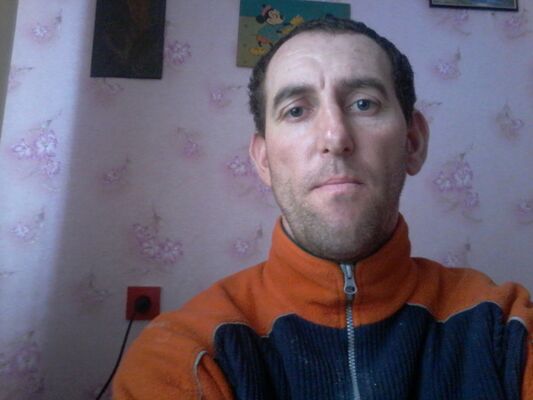  ,   C, 48 ,   