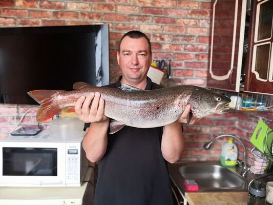  ,   , 45 ,   ,   , c , 