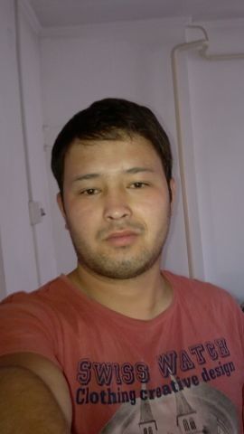  4905508  , 37 ,    