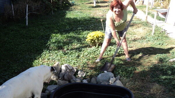 ���������� ��������, ���� ������� �����, 55 ���, ������������ ��� ������, ����� � ���������, c�������� ���������