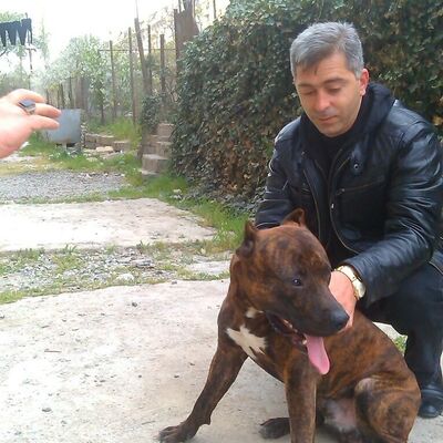  ,   Volk, 42 ,   